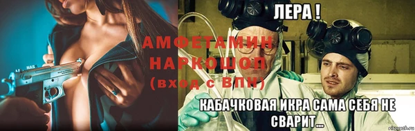 трава Ельня