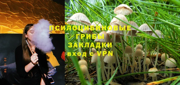 трава Ельня
