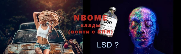 трава Ельня