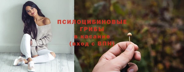 mix Елабуга