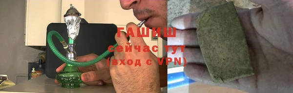 трава Ельня