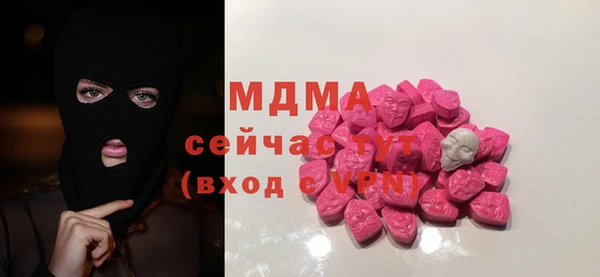 трава Ельня
