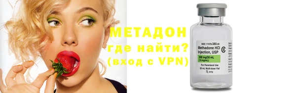 трава Ельня