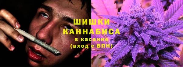 индика Дмитров