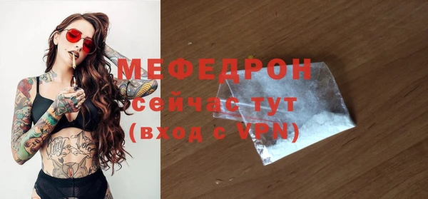 трава Ельня