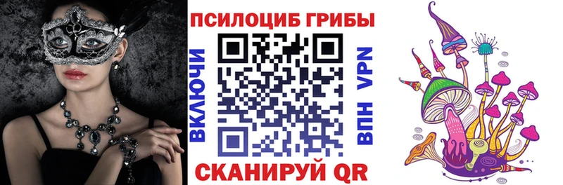 купить  сайты  Бутурлиновка  Псилоцибиновые грибы Magic Shrooms 
